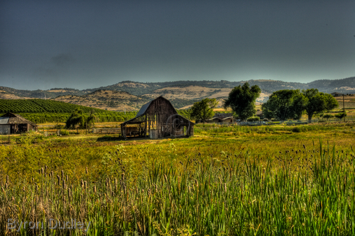Photography-Talented Barn