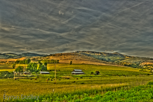 Photography-untitled
