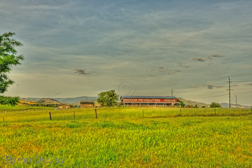 Photography-untitled