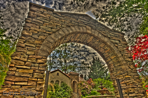 Photography-untitled