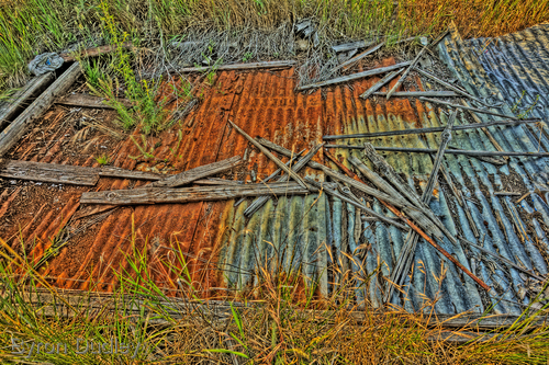 Photography-untitled