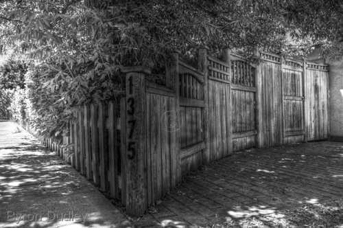 Photography-untitled