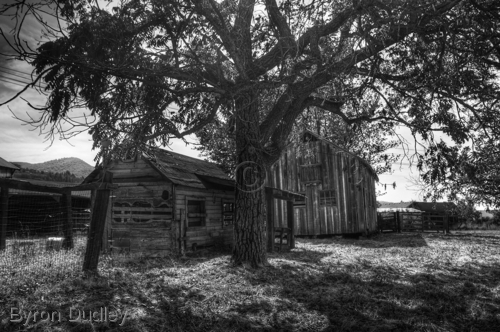 Photography-untitled
