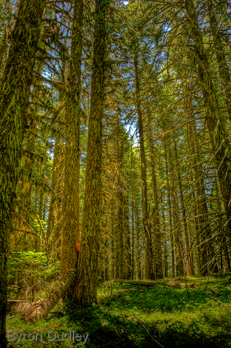 Photography-Landscape-Grizzly Peak #3