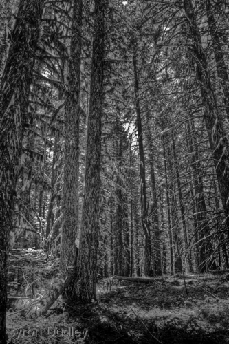 Photography-Landscape-Grizzly Peak #3