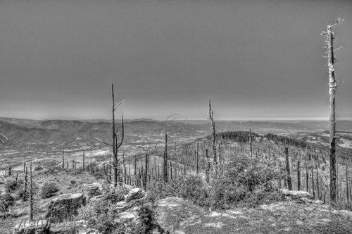 Photography-Landscape-Grizzly Peak #1