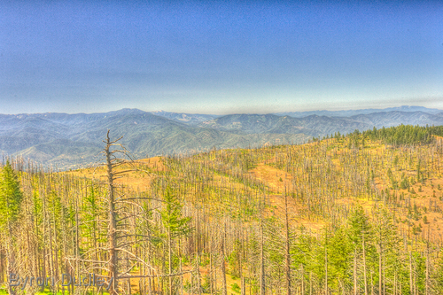 Photography-Landscape-Grizzly Peak #2