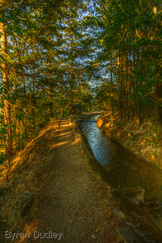 Photography-TID Shak #2