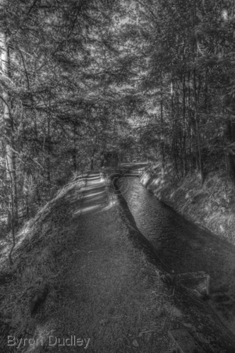 Photography-TID Shak #2