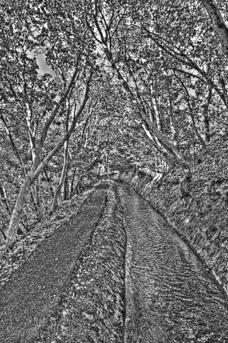 Photography-untitled