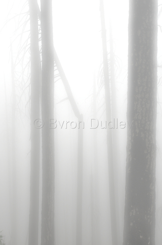 Photography-Landscape-Widow Maker