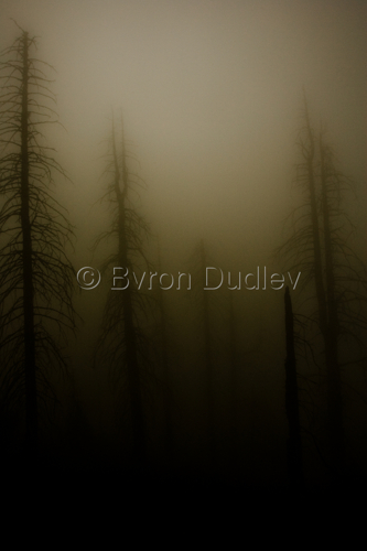Photography-Landscape-untitled