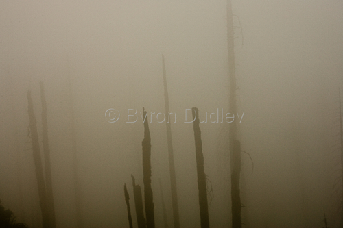 Photography-Landscape-untitled