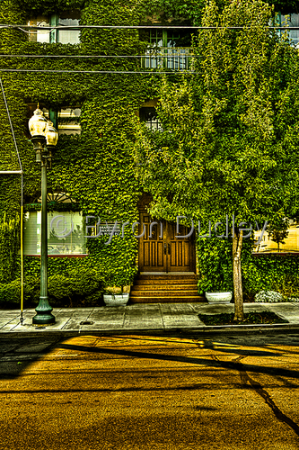 Photography-Ivy n Associates