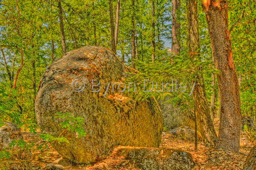 Photography-Landscape-untitled