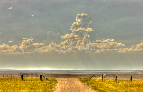 Photography-untitled