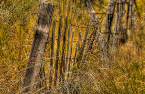 Photography-Summit fence line