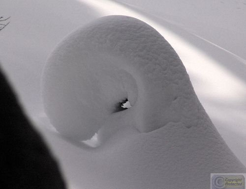 Photography-Nature-Deep Wood  Pass Cornice