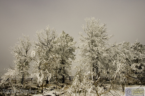 Photography-Landscape-Mount Sherman first snowfall #3