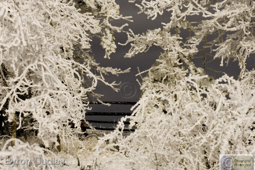 Photography-Landscape-Mount Sherman first snowfall #2