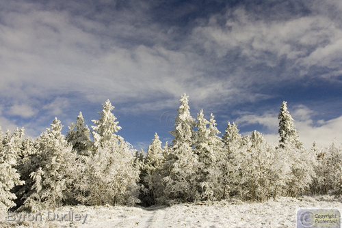 Photography-Landscape-Mount Sherman first snowfall #5