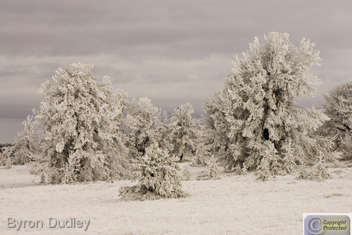 Photography-Landscape- Mt Sherman revisited