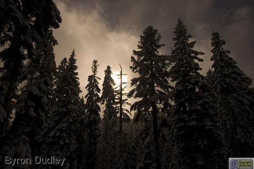 Photography-Landscape-Ashland Silhouette #2