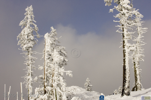 Photography-Nature-Parking at Mt Ashland