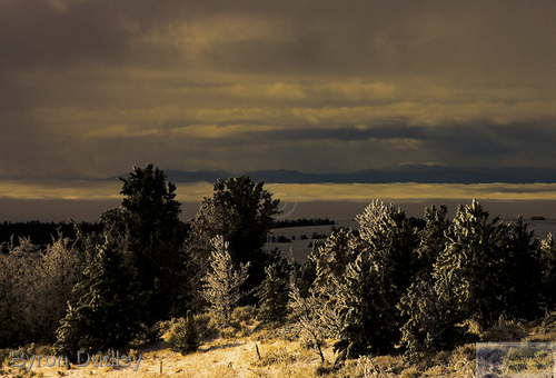 Photography-Mt Sherman #7
