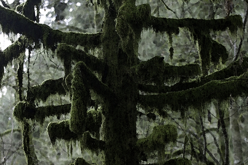 Mixed Media-Trunk Post