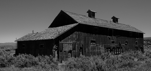 Photography-Slaughterhouse #6
