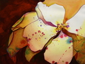  Dogwood Flower