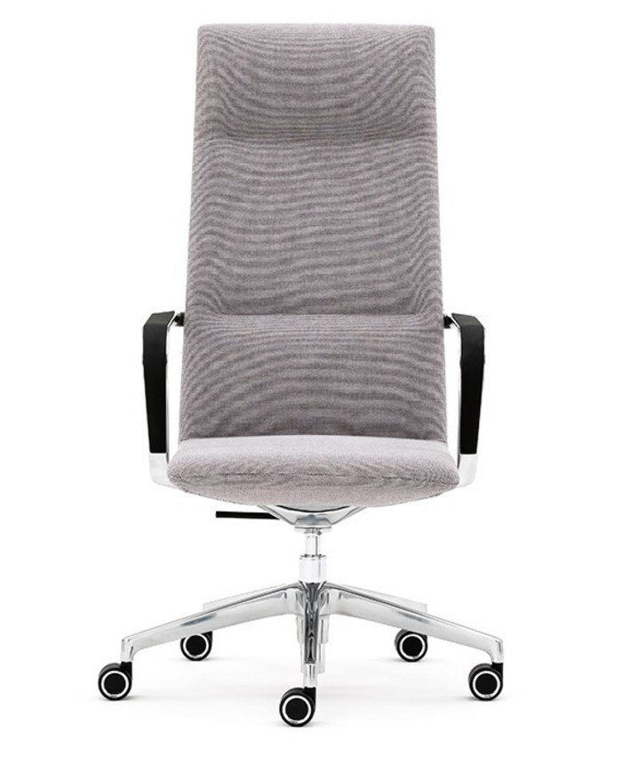 Rapt Ergonomic executive chair by Senator - Oburo