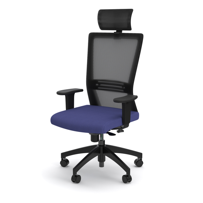 Photo of Ergonomic chair with an executive mesh backrest, headrest and lumbar support by ADI, vue 1, available at Oburo in Montreal