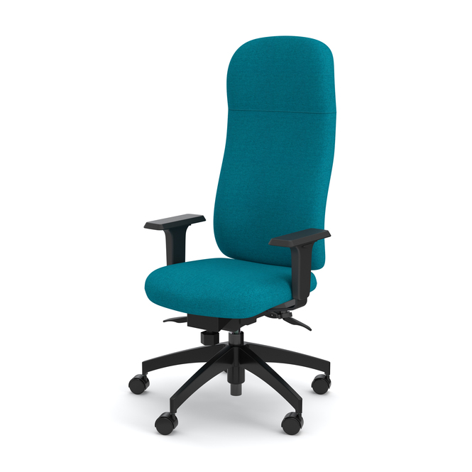 Photo of Ergonomic chair with an executive backrest and a star base by ADI, vue 1, available at Oburo in Montreal