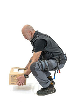 Exosquelettes boite