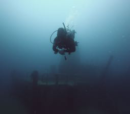 Photo of the dive center