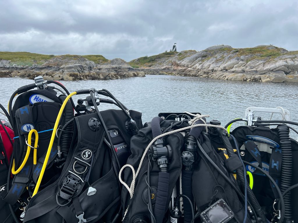 Cover photo of the dive