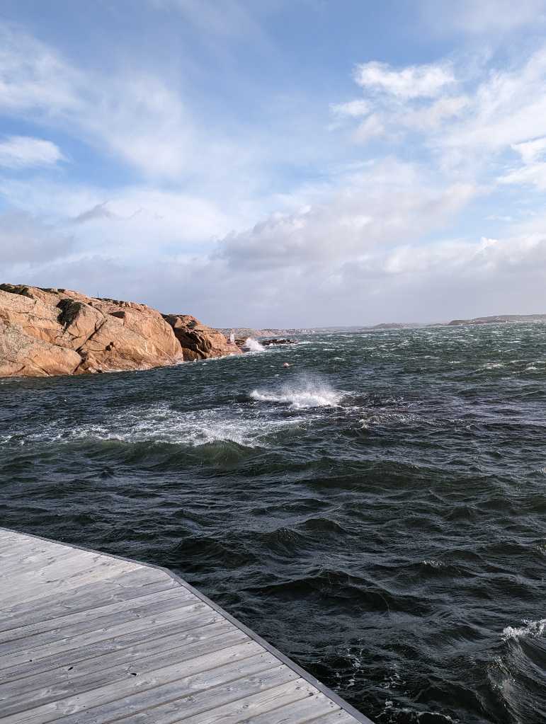 Cover photo of the dive