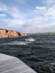 Photo of the dive center