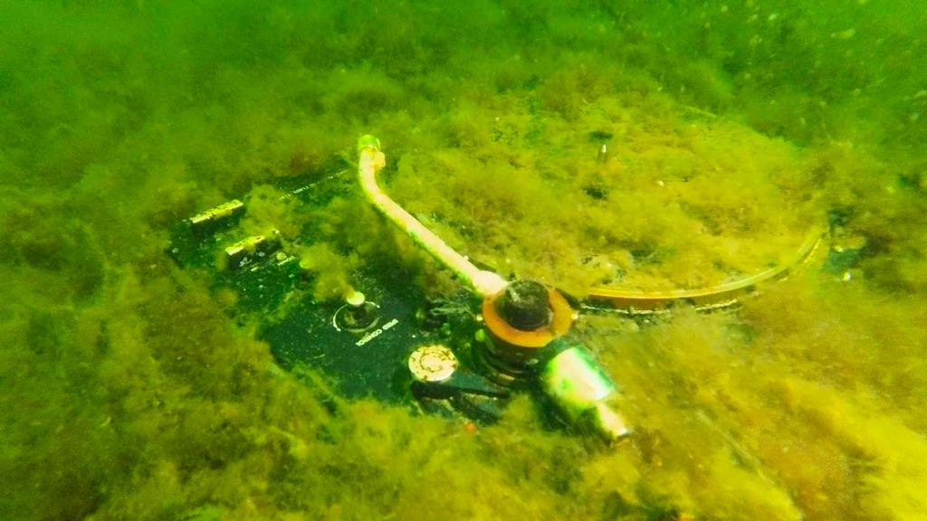 Cover photo of the dive