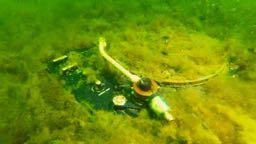 Photo of the dive center