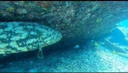 Photo of the dive center