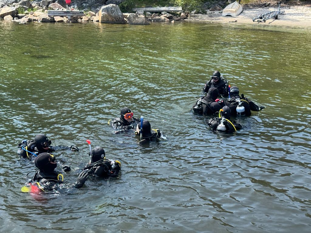 Cover photo of the dive