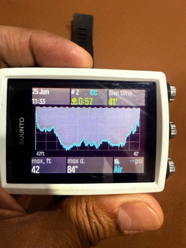 Cover photo of the dive