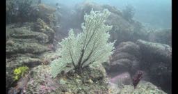 Photo of the dive center