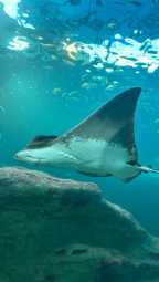 Photo of the dive center