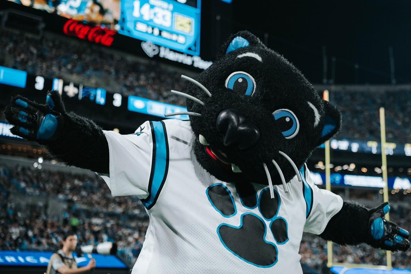 sir purr carolina panthers, nfl mascots