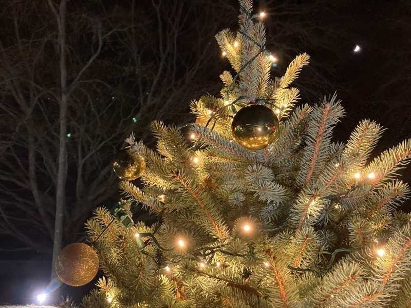 Christmas In Ri 2022 Tree Lighting At Rhode Island State House To Be Held Dec. 2