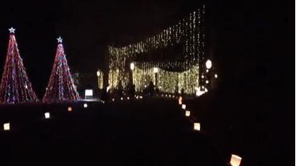 Wilson Botanical Gardens Christmas Lights 2022 Best And Brightest: What It Takes To Set Up The Galaxy Of Lights